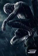 Download 'Spider-Man 3 (176x220)' to your phone